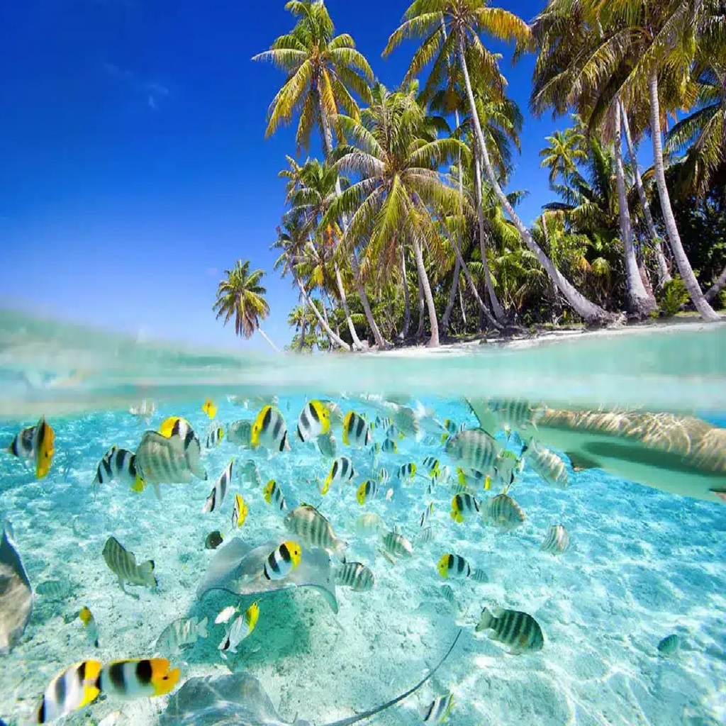 Thulusdhoo